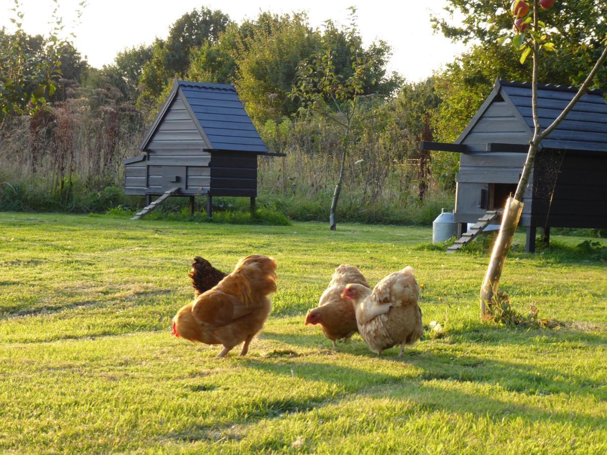 Отель The Oaks Glamping - Magpie Half Shepherds Hut Colkirk Экстерьер фото